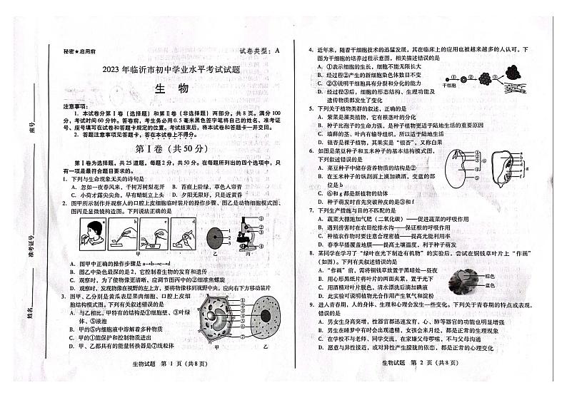 2023年山东省临沂市中考生物真题01