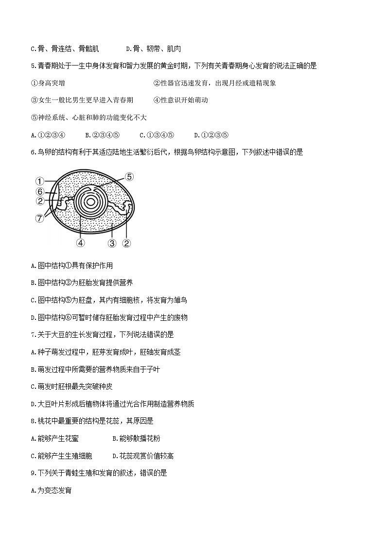北京市大兴区2022-2023学年八年级上学期期末生物试题(无答案)02