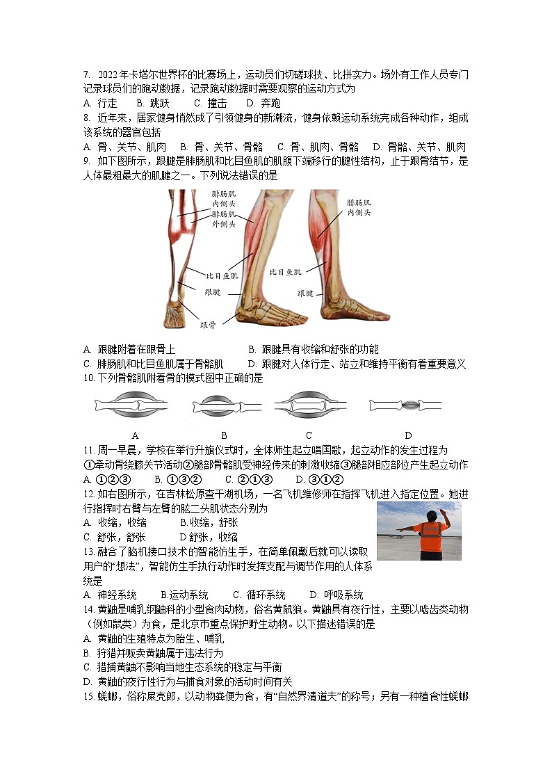北京市怀柔区2022-2023学年八年级上学期期末生物试卷02