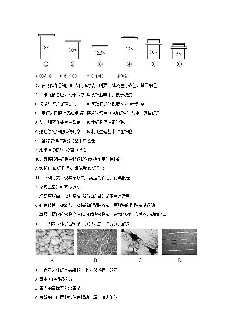 北京市大兴区2022-2023学年七年级上学期期末考试生物试卷02