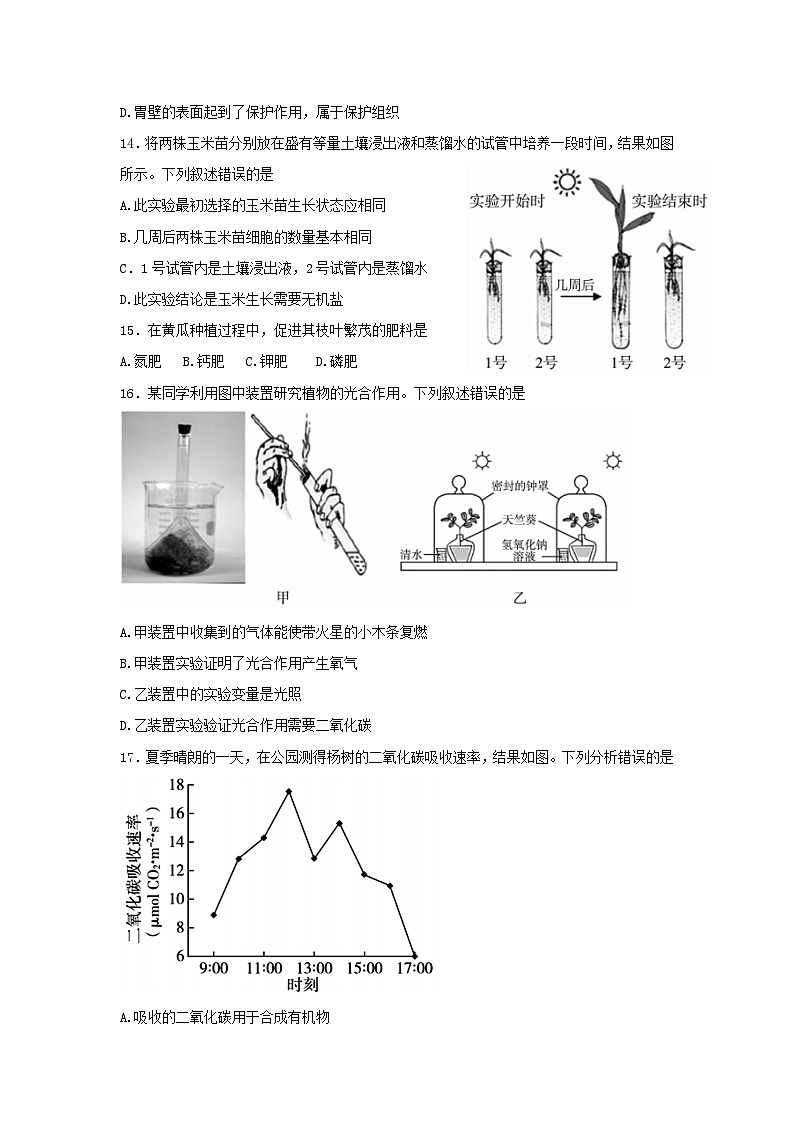 北京市大兴区2022-2023学年七年级上学期期末考试生物试卷03