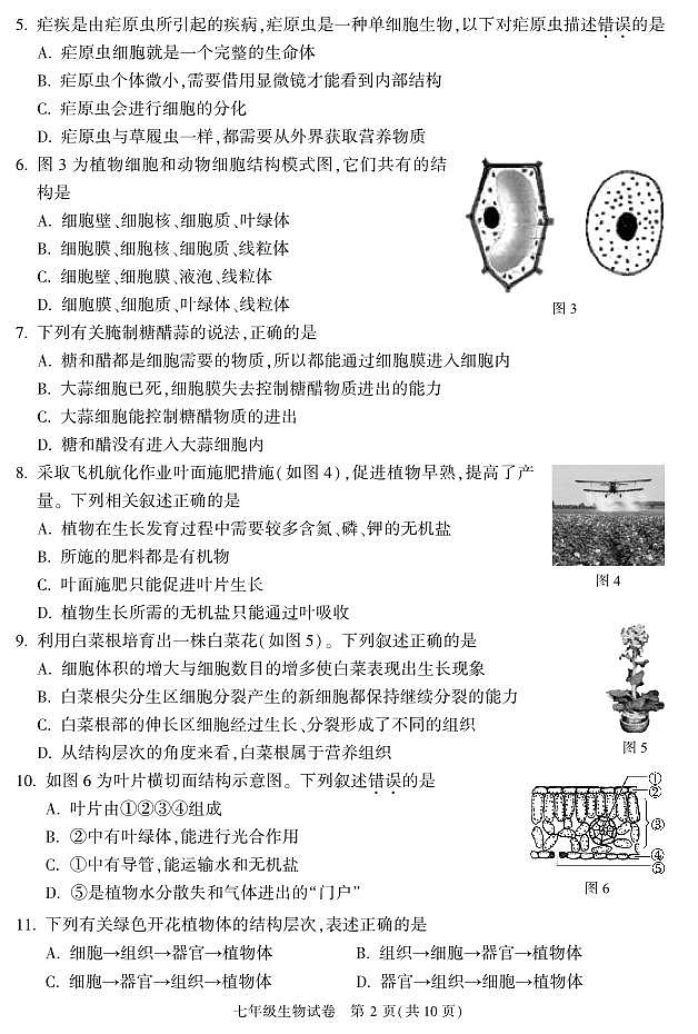 北京市顺义区2022-2023学年七年级上学期期末生物试题02