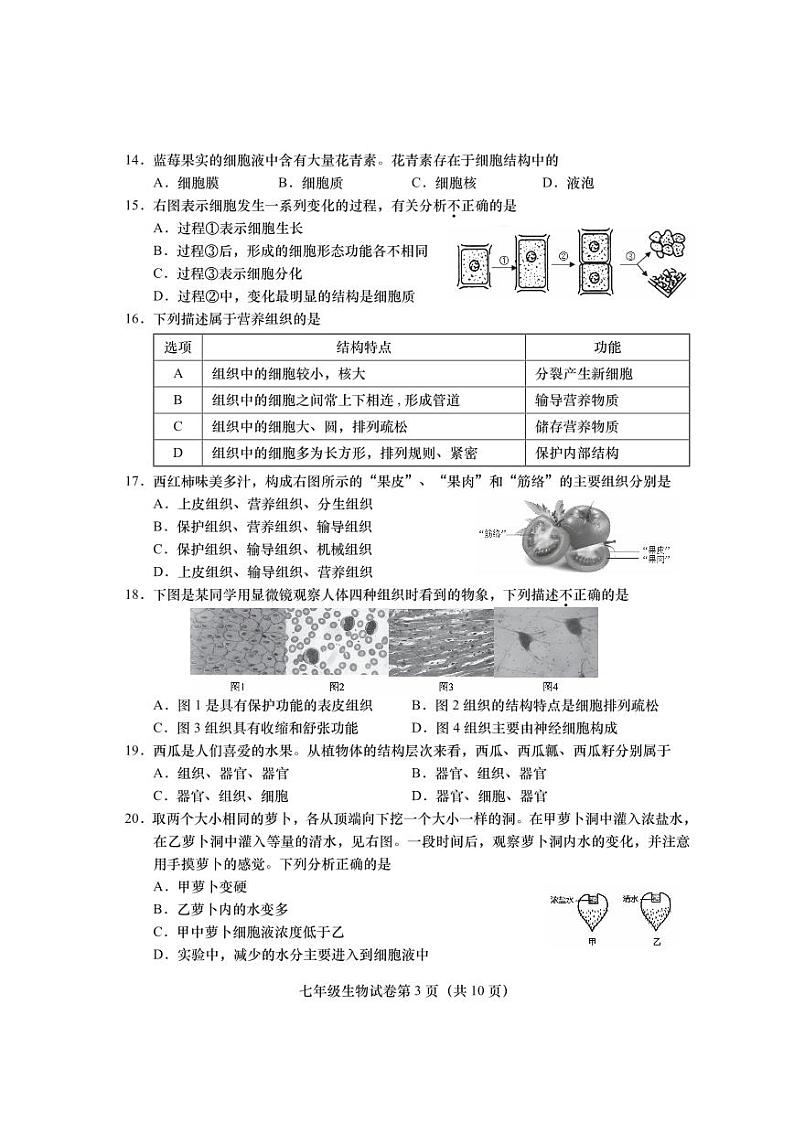 北京市燕山地区2022-2023学年七年级上学期期末生物试卷第3页