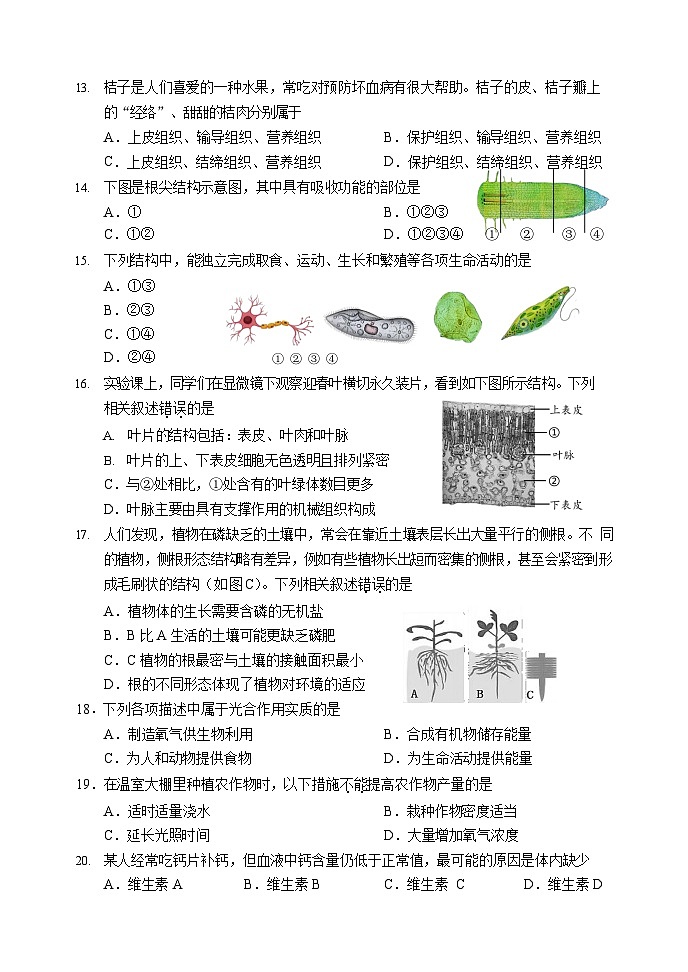 北京市石景山区2022-2023学年七年级上学期期末生物试题03