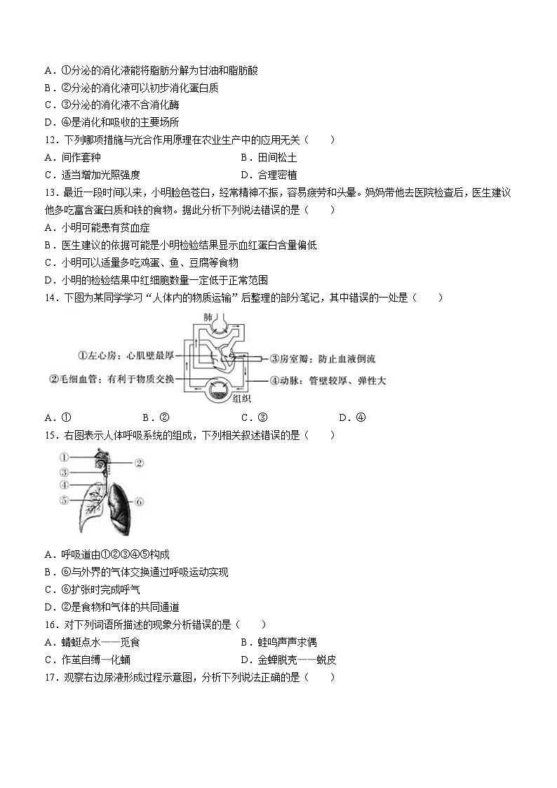 2023年四川省广安市中考生物中考真题(无答案)03
