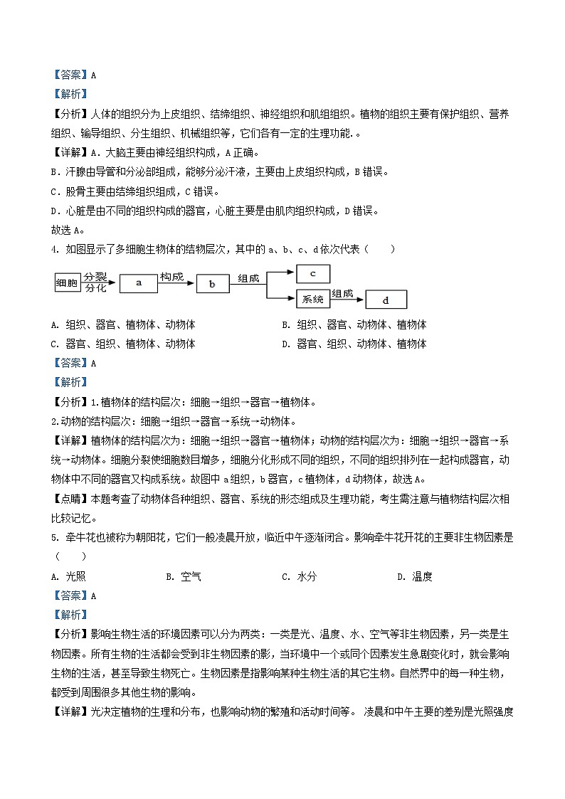 _2022年广西梧州市中考生物真题及答案02