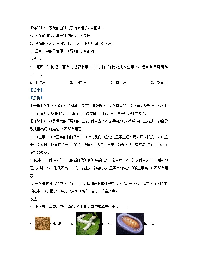 _2022年宁夏中考生物真题及答案03