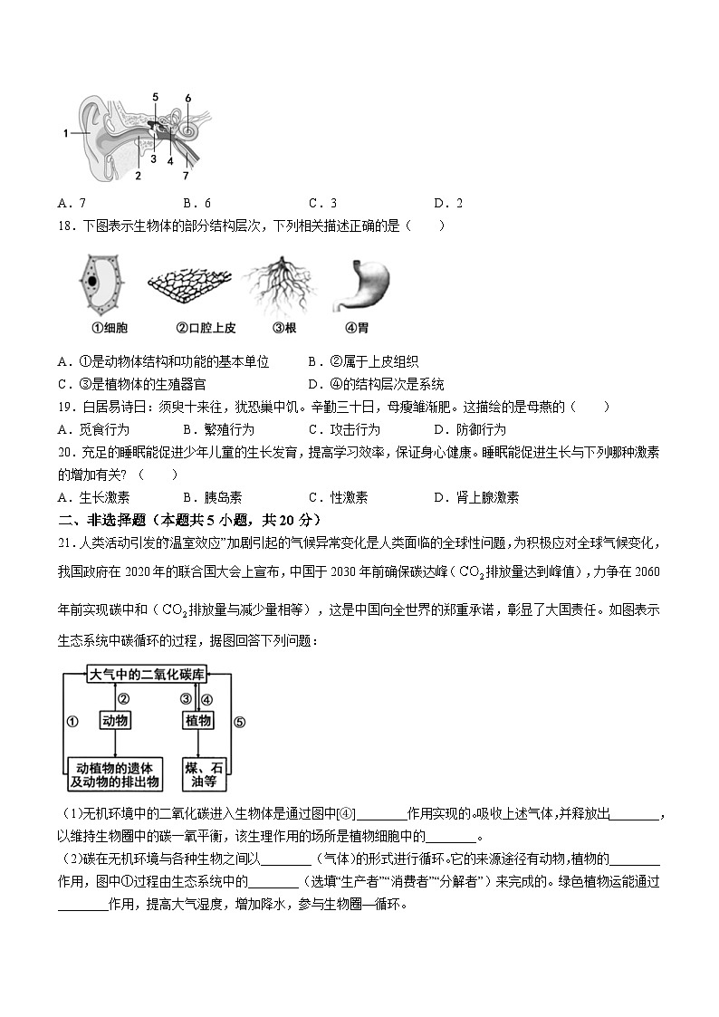 2023年宁夏石嘴山市平罗县中考二模生物试题（含答案）03