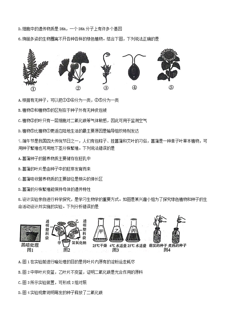 2023年山东省临沂市兰陵县中考二模生物试题（含答案）第3页