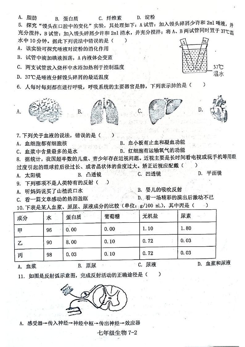 河南省信阳市淮滨县2022-2023学年七年级下学期期末生物试题02