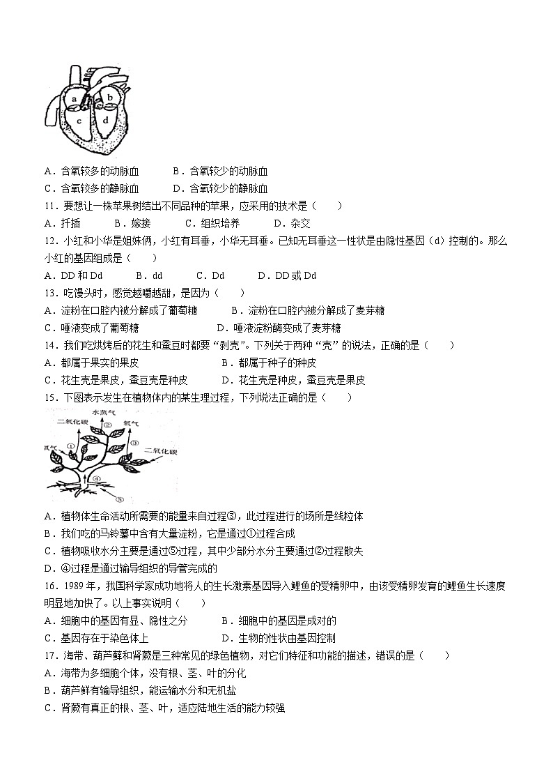 2023年江苏省宿迁市宿城区中考二模生物试题02