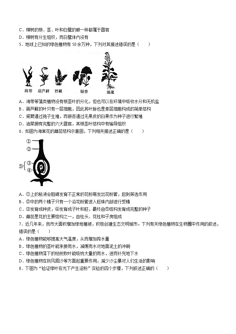 2023年山东省聊城市阳谷县中考二模生物试题(无答案)02
