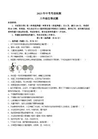 2023年山东省临沂市莒南县中考二模生物试题