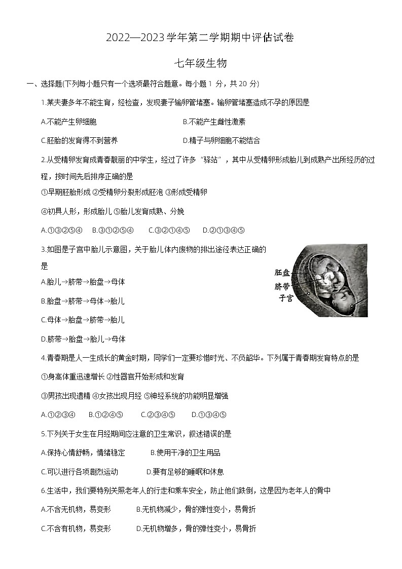 河南省平顶山市宝丰县2022-2023学年七年级下学期期中生物试题01