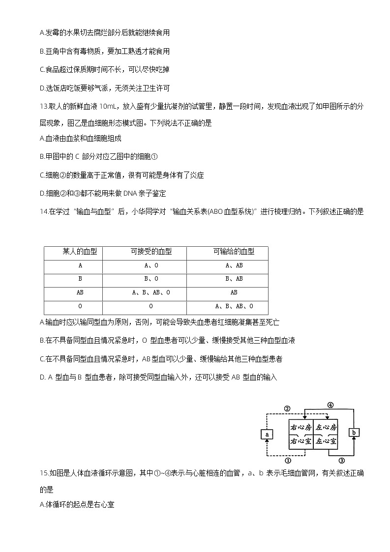 河南省平顶山市宝丰县2022-2023学年七年级下学期期中生物试题03