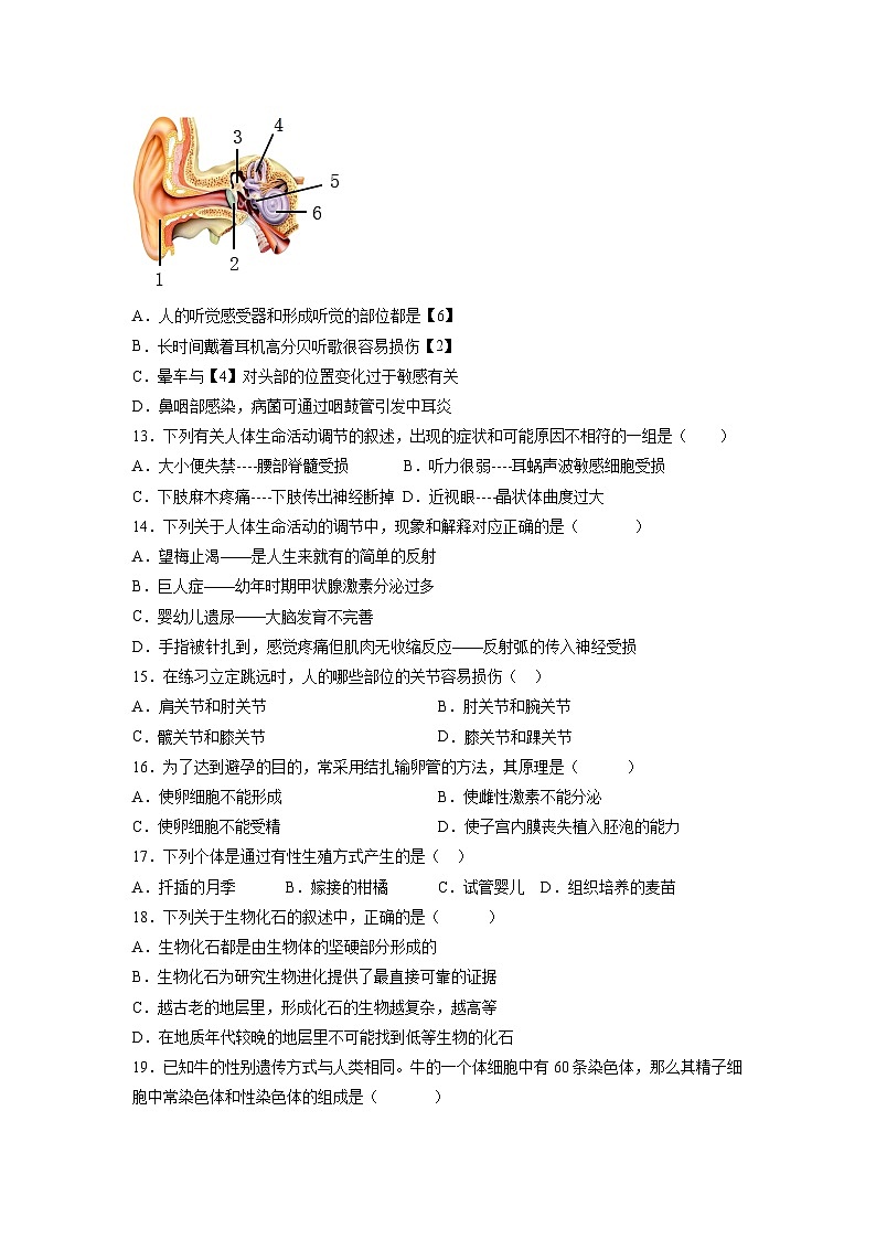 卷08-【冲刺抢分】2023年中考生物临考压轴卷（北京卷）  （试卷版）03