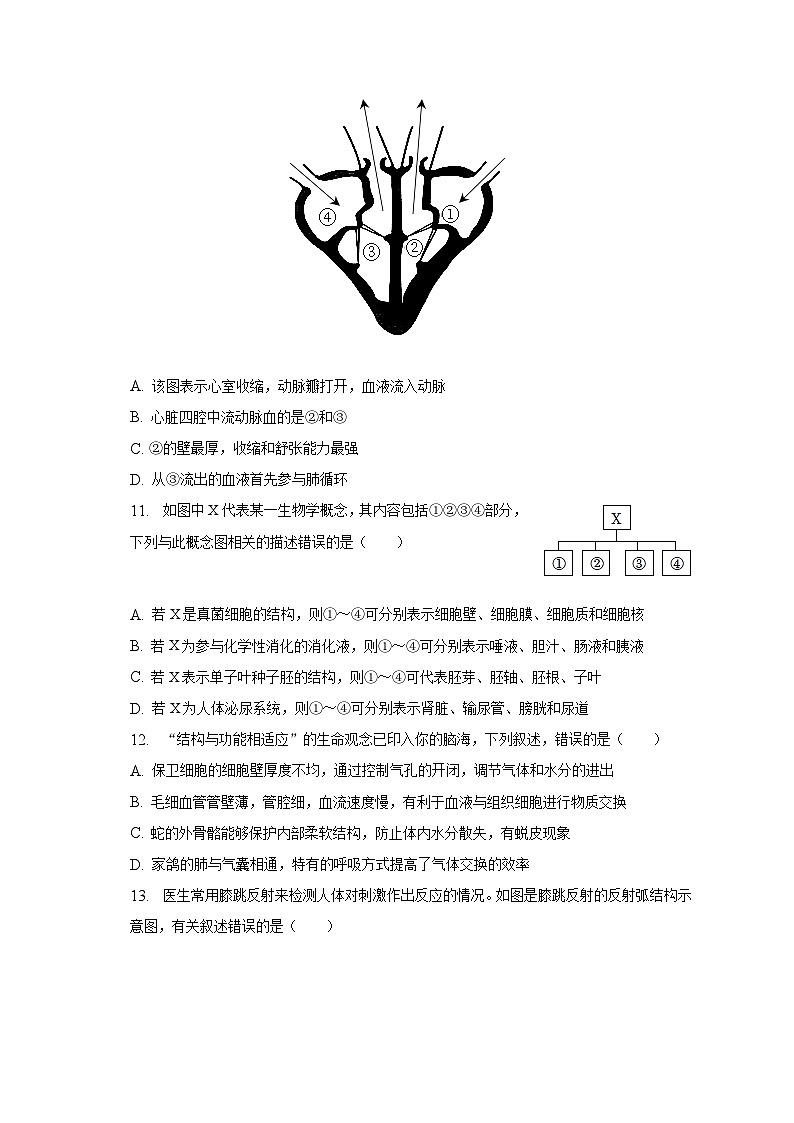 2023年山东省济宁市泗水县中考生物四模试卷（含解析）03