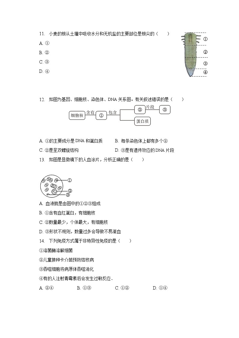 2023年广东省广州市天河区中考生物一模试卷（含解析）03