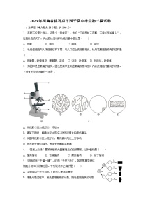 2023年河南省驻马店市西平县中考生物三模试卷（含解析）