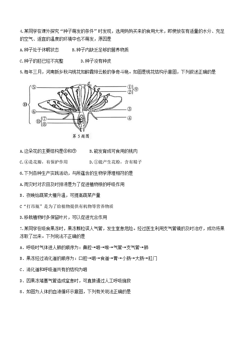 2023年河南省洛阳市嵩县中考一模生物试题（含答案）02
