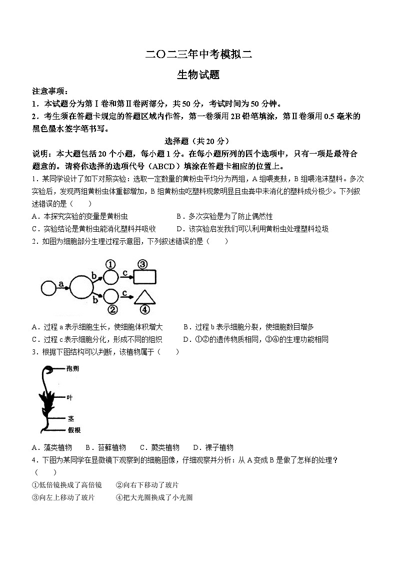 2023年山东省菏泽市鄄城县中考二模生物试题（含答案）01