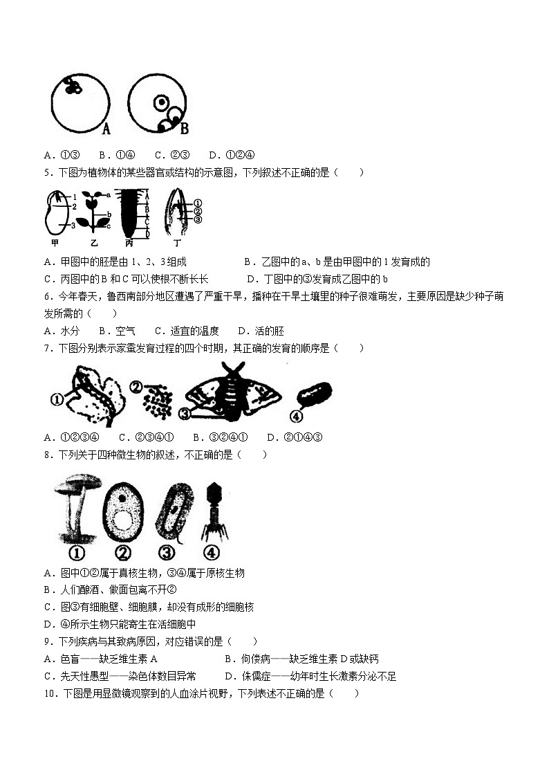 2023年山东省菏泽市鄄城县中考二模生物试题（含答案）02