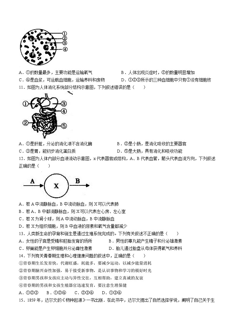 2023年山东省菏泽市鄄城县中考二模生物试题（含答案）03