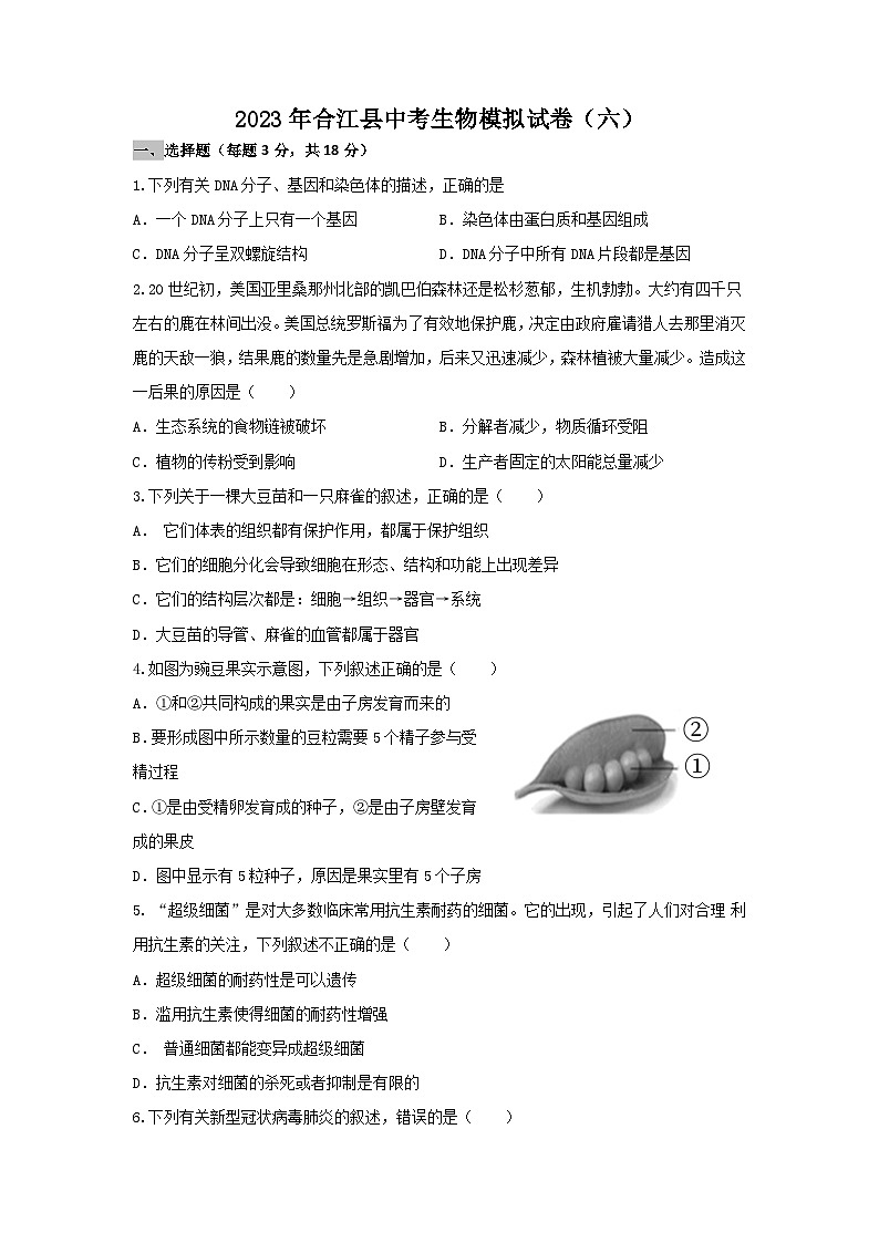 2023年四川省泸州市合江县中考模拟（六）生物试题（含答案）01