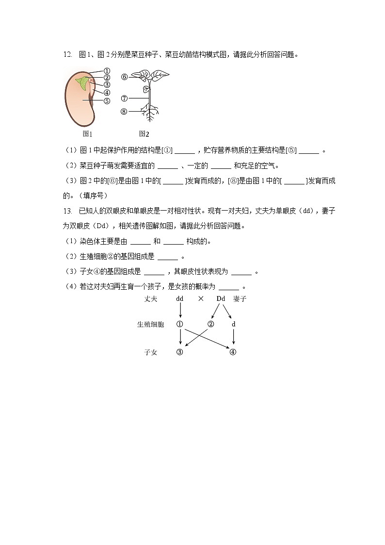 2023年甘肃省庆阳市中考生物试卷（含解析）02