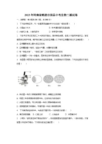 2023年河南省鹤壁市淇县中考生物二模试卷（含解析）