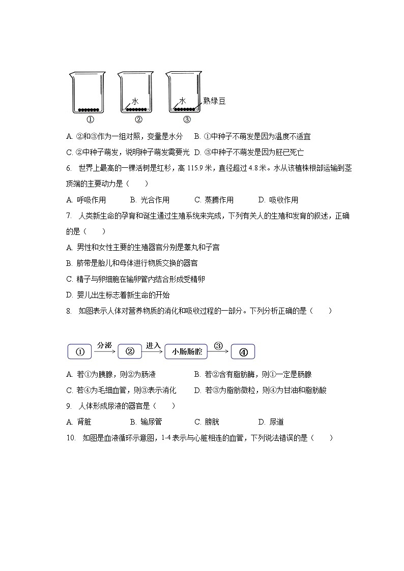 2023年河南省鹤壁市淇县中考生物二模试卷（含解析）02