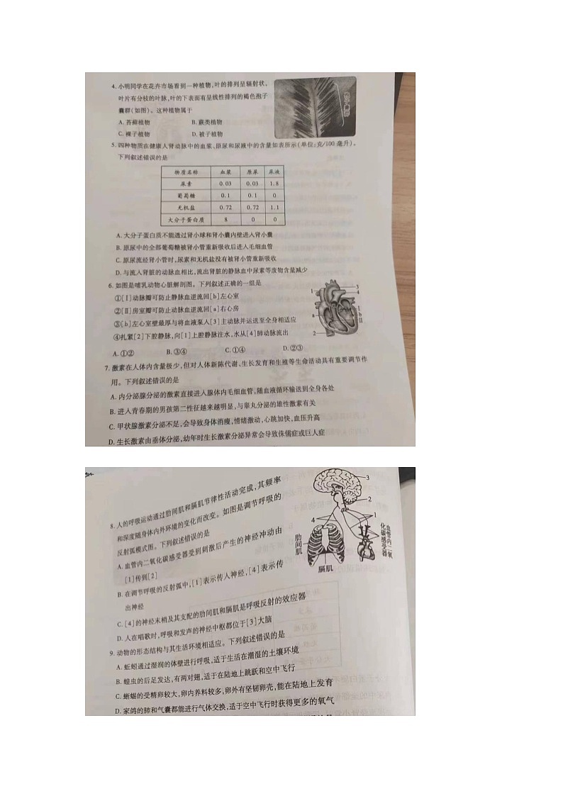 2023年山东省泰安市中考生物中考真题第2页