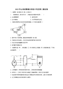 2023年山东省聊城市莘县中考生物三模试卷（含答案）