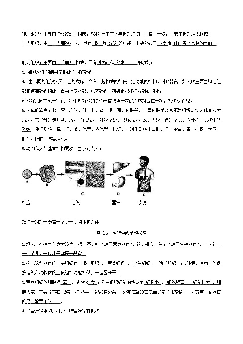 专题03 生物体的结构层次（知识帮）-备战2023年中考生物一轮复习考点帮（全国通用）02