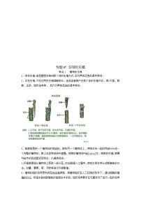 专题07 生物的生殖（知识帮）-备战2023年中考生物一轮复习考点帮（全国通用）