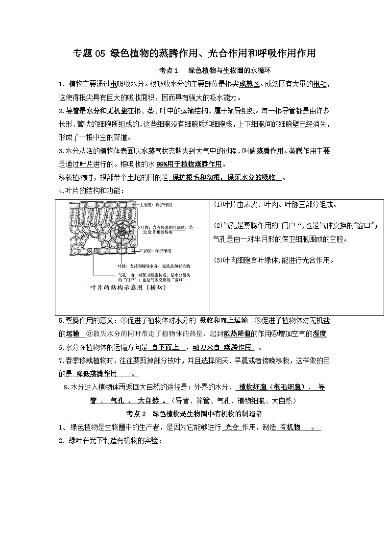 专题05 绿色植物的蒸腾作用、光合作用和呼吸作用作用（知识帮）-备战2023年中考生物一轮复习考点帮（全国通用）01
