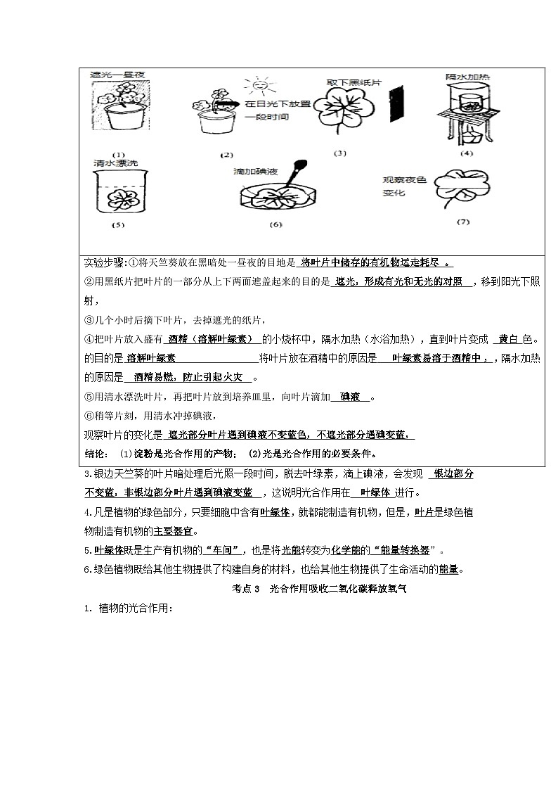 专题05 绿色植物的蒸腾作用、光合作用和呼吸作用作用（知识帮）-备战2023年中考生物一轮复习考点帮（全国通用）02
