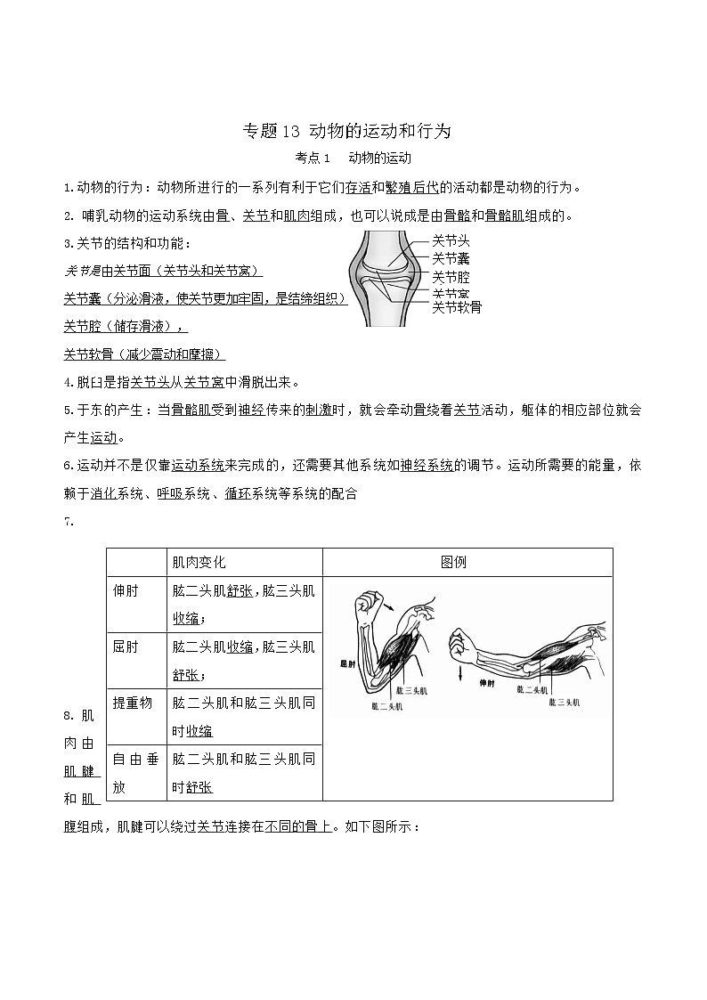 专题13 动物的运动和行为（知识帮）-备战2023年中考生物一轮复习考点帮（全国通用）第1页