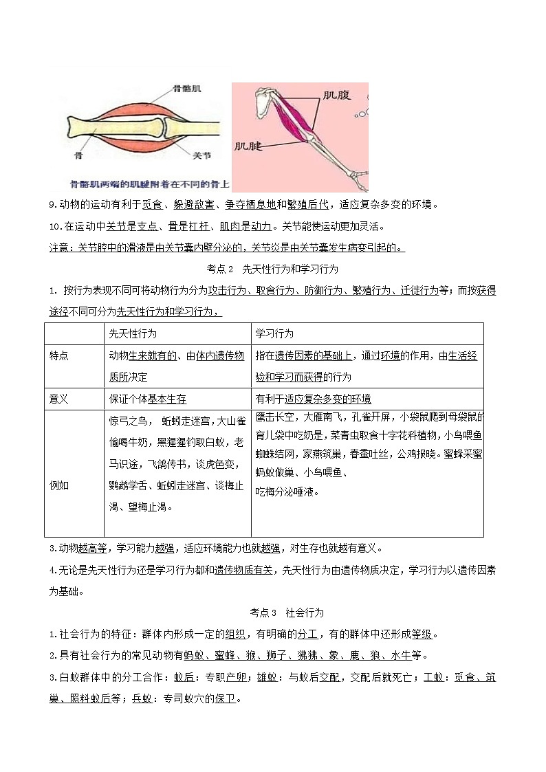 专题13 动物的运动和行为（知识帮）-备战2023年中考生物一轮复习考点帮（全国通用）第2页