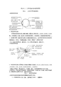 专题11 人体生命活动的调节（知识帮）-备战2023年中考生物一轮复习考点帮（全国通用）