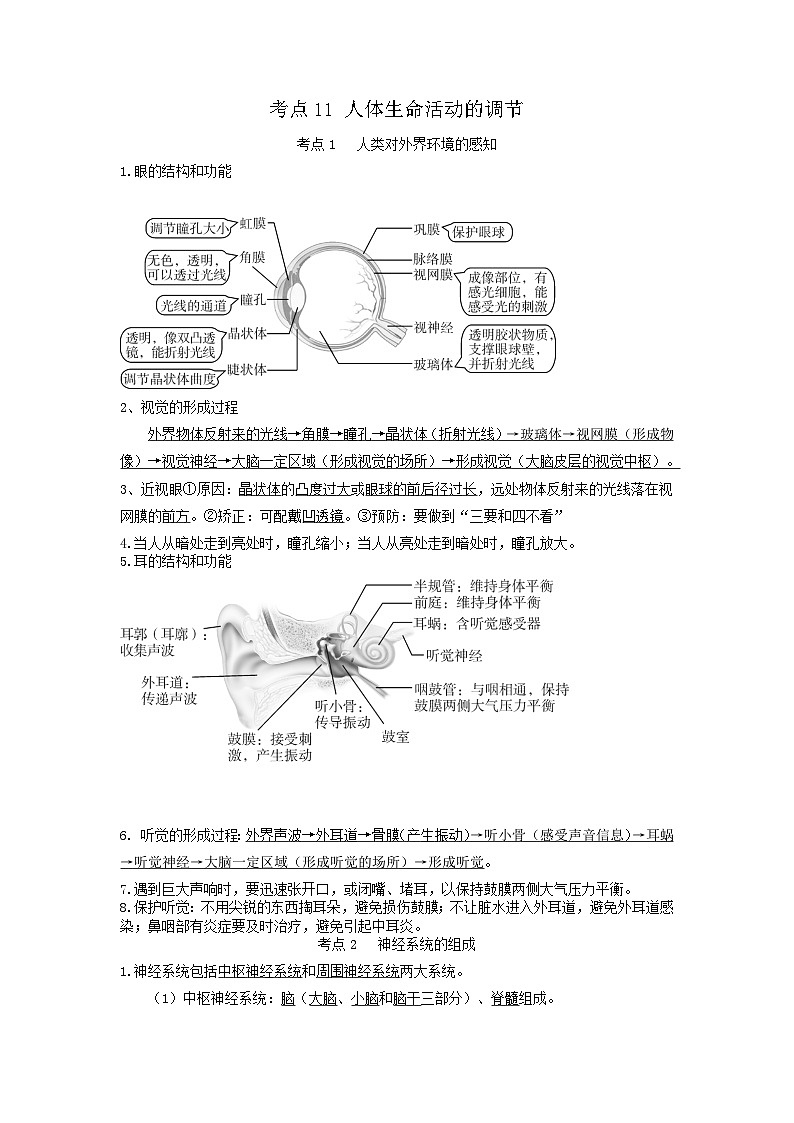 专题11 人体生命活动的调节（知识帮）-备战2023年中考生物一轮复习考点帮（全国通用）01