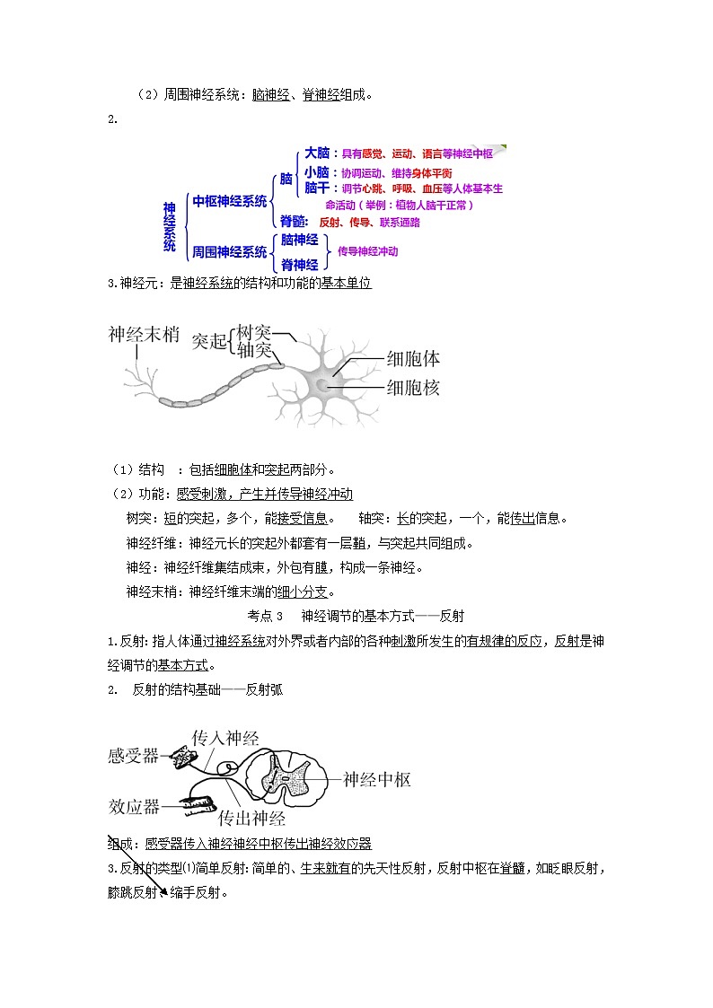 专题11 人体生命活动的调节（知识帮）-备战2023年中考生物一轮复习考点帮（全国通用）02
