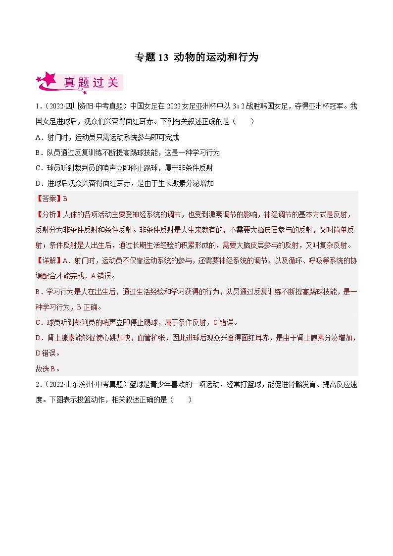 专题13 动物的运动和行为（习题帮）（解析版）-备战2023年中考生物一轮复习考点帮（全国通用）第1页