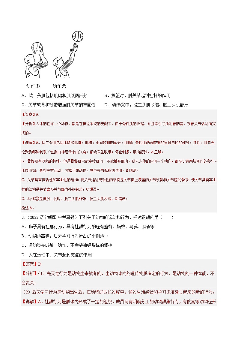 专题13 动物的运动和行为（习题帮）（解析版）-备战2023年中考生物一轮复习考点帮（全国通用）第2页