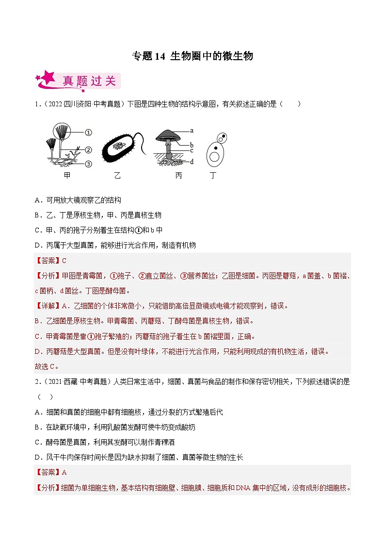 专题14 生物圈中的微生物（习题帮）（解析版）-备战2023年中考生物一轮复习考点帮（全国通用）第1页