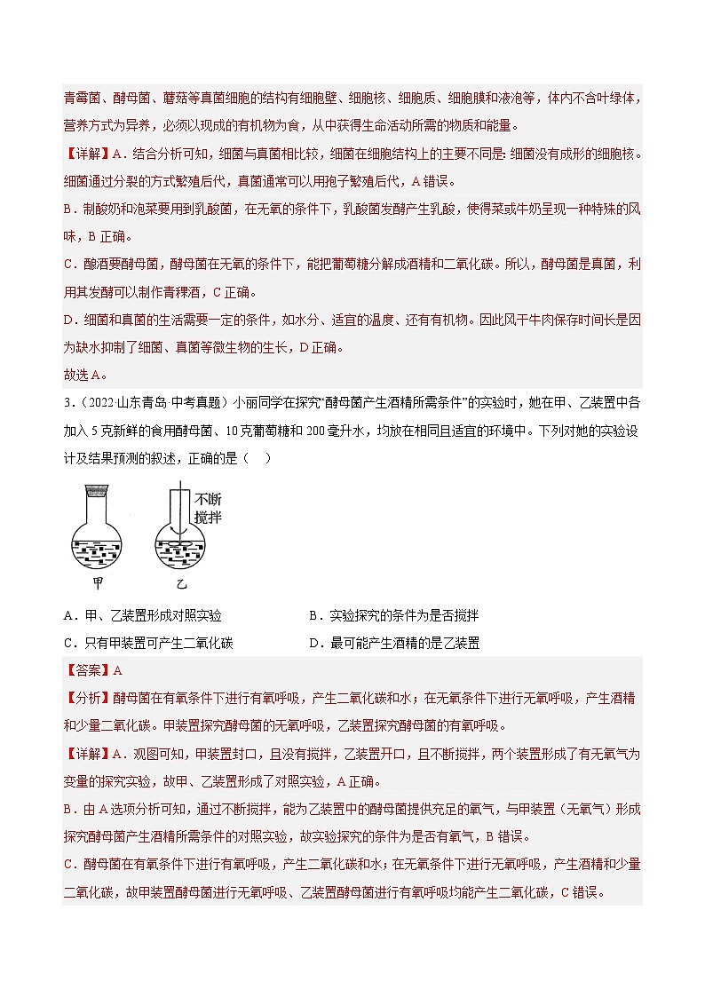 专题14 生物圈中的微生物（习题帮）（解析版）-备战2023年中考生物一轮复习考点帮（全国通用）第2页