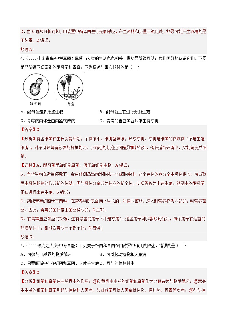 专题14 生物圈中的微生物（习题帮）（解析版）-备战2023年中考生物一轮复习考点帮（全国通用）第3页
