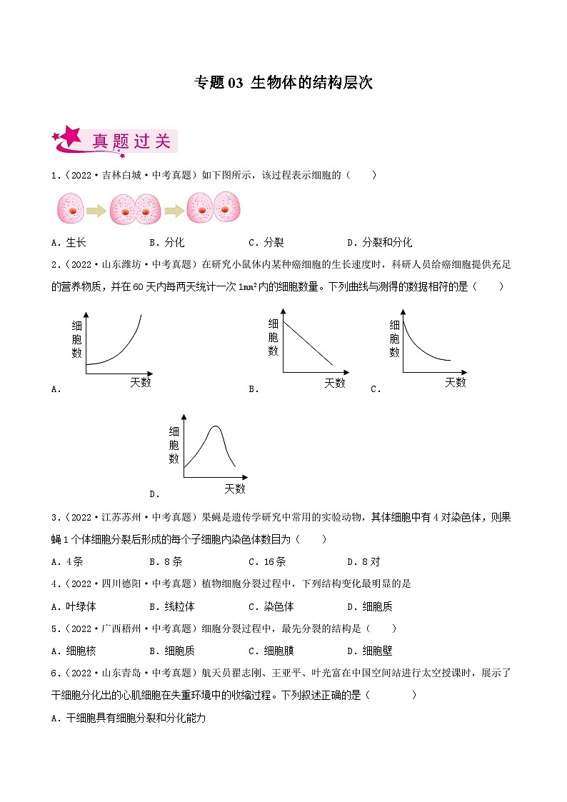 专题03 生物体的结构层次（习题帮）（原卷版）-备战2023年中考生物一轮复习考点帮（全国通用）第1页