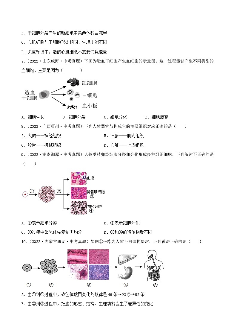 专题03 生物体的结构层次（习题帮）（原卷版）-备战2023年中考生物一轮复习考点帮（全国通用）第2页