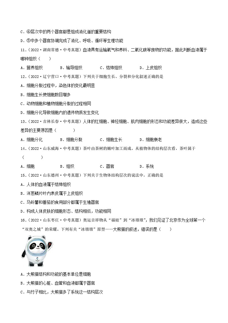 专题03 生物体的结构层次（习题帮）（原卷版）-备战2023年中考生物一轮复习考点帮（全国通用）第3页